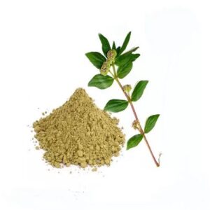 அம்மான் பச்சரிசி பொடி - Ammaan Pacharisi Podi