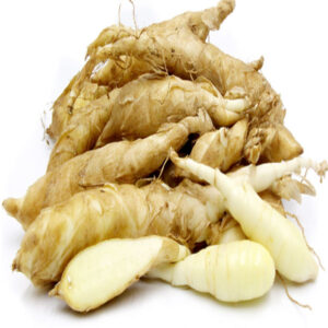 அரரூட் கிழங்கு - Araroot Kizhangu