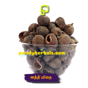 அத்தி விதை - Athi vidhai