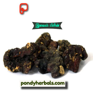 இலவம் பிசின் - Ilavam Pisin