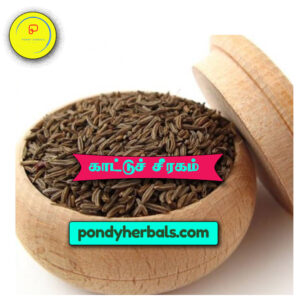 காட்டுச் சீரகம் - Kaattu Jeeragam