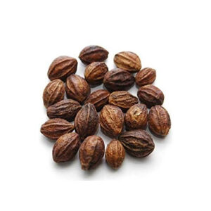 கடுக்காய் - Kadukai Raw