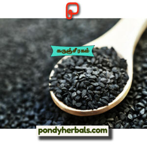 கருஞ்சீரகம் - Karunjeeragam