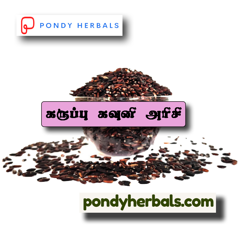 Karuppu Kavuni Arisi 01