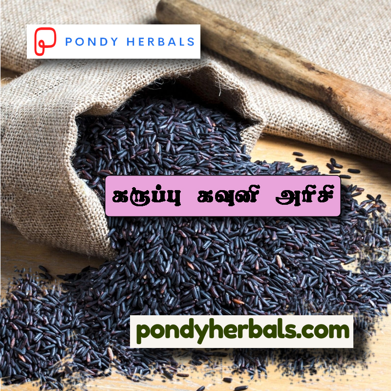 Karuppu Kavuni Arisi 02