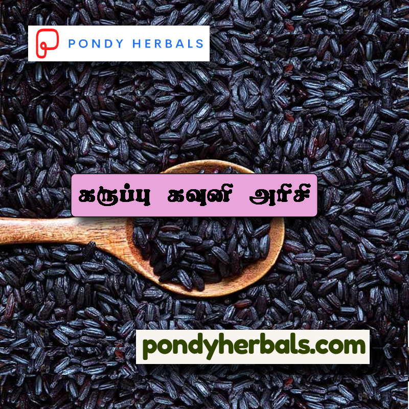 Karuppu Kavuni Arisi 03