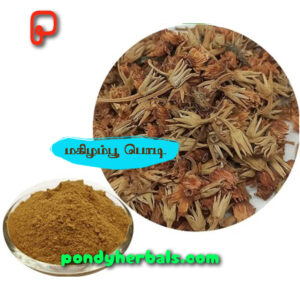 மகிழம் பூ பொடி - Magizham Poo Powder
