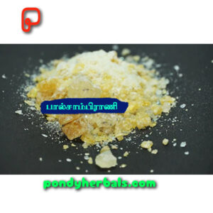 பால் சாம்பிராணி (TT.Sambrani | Bharath Sambrani) - Paal Sambrani