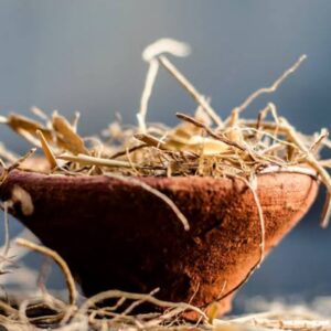 விளாமிச்சி வேர் பொடி - Vilaamichi ver  powder