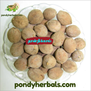 தான்றிக்காய் - Thandrikkai