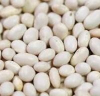 வெள்ளை சோயா - White Soya