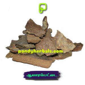 ஆவாரம் பட்டை - Aavaram Pattai