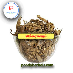 அக்ரகாரம் - Agrakaram