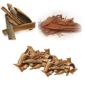 அசோக பட்டை - Ashoka Pattai Raw