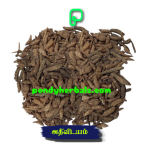 அதிவிடயம் - Athividayam