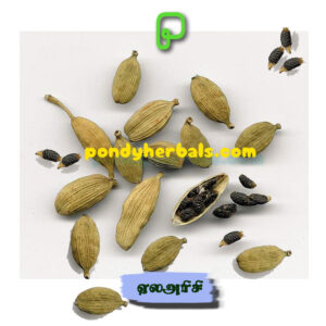 ஏல அரிசி - Eala arisi - cardamom seeds