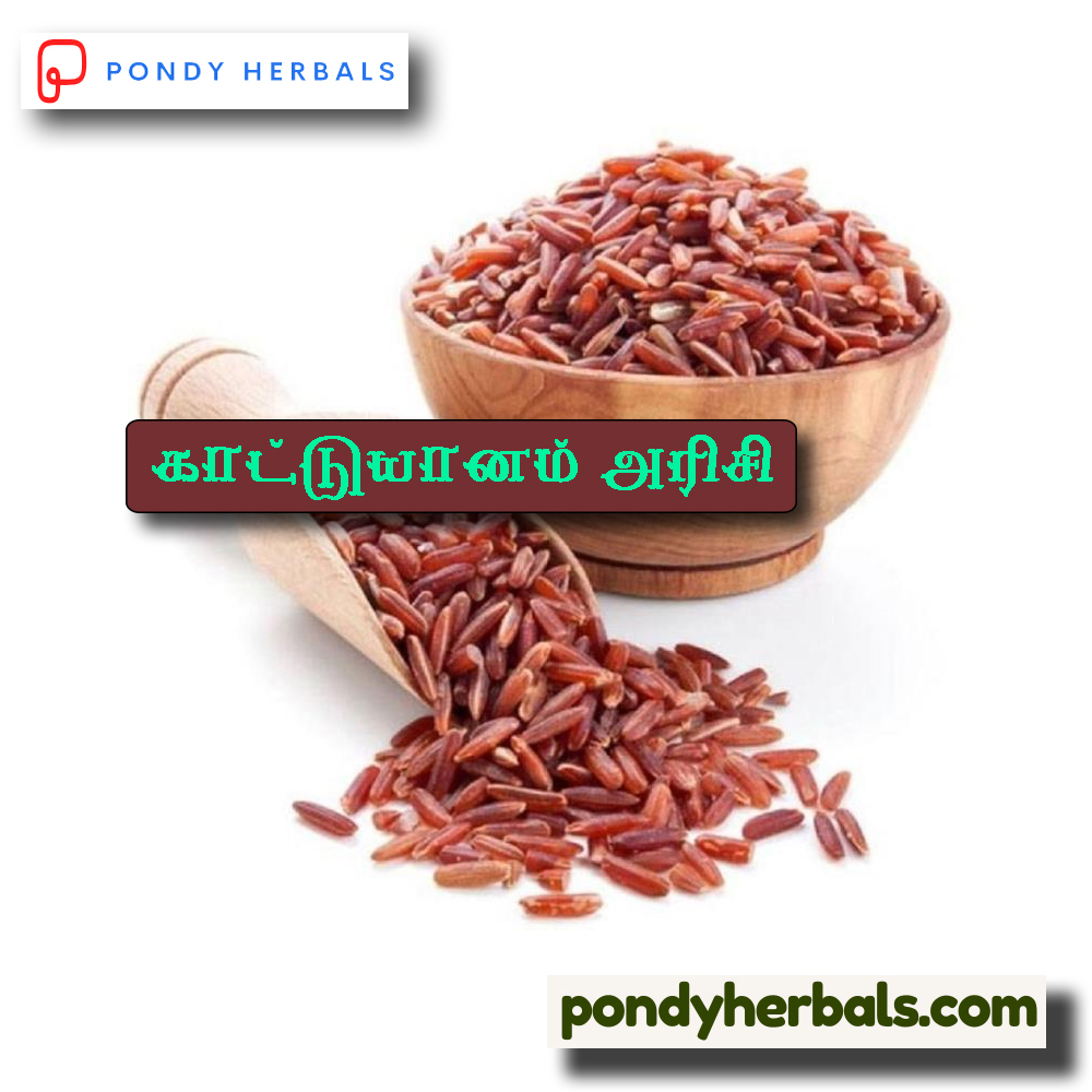 kaattu yaanam arisi 01