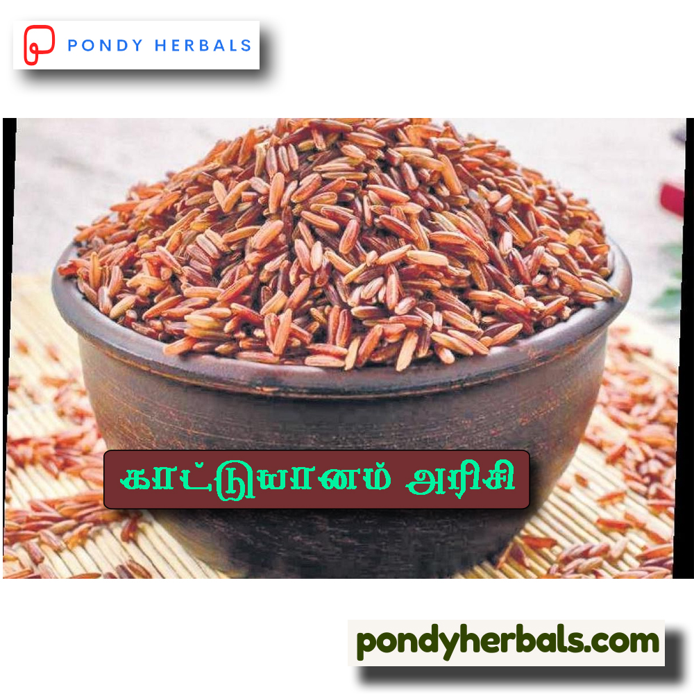 kaattu yaanam arisi 02