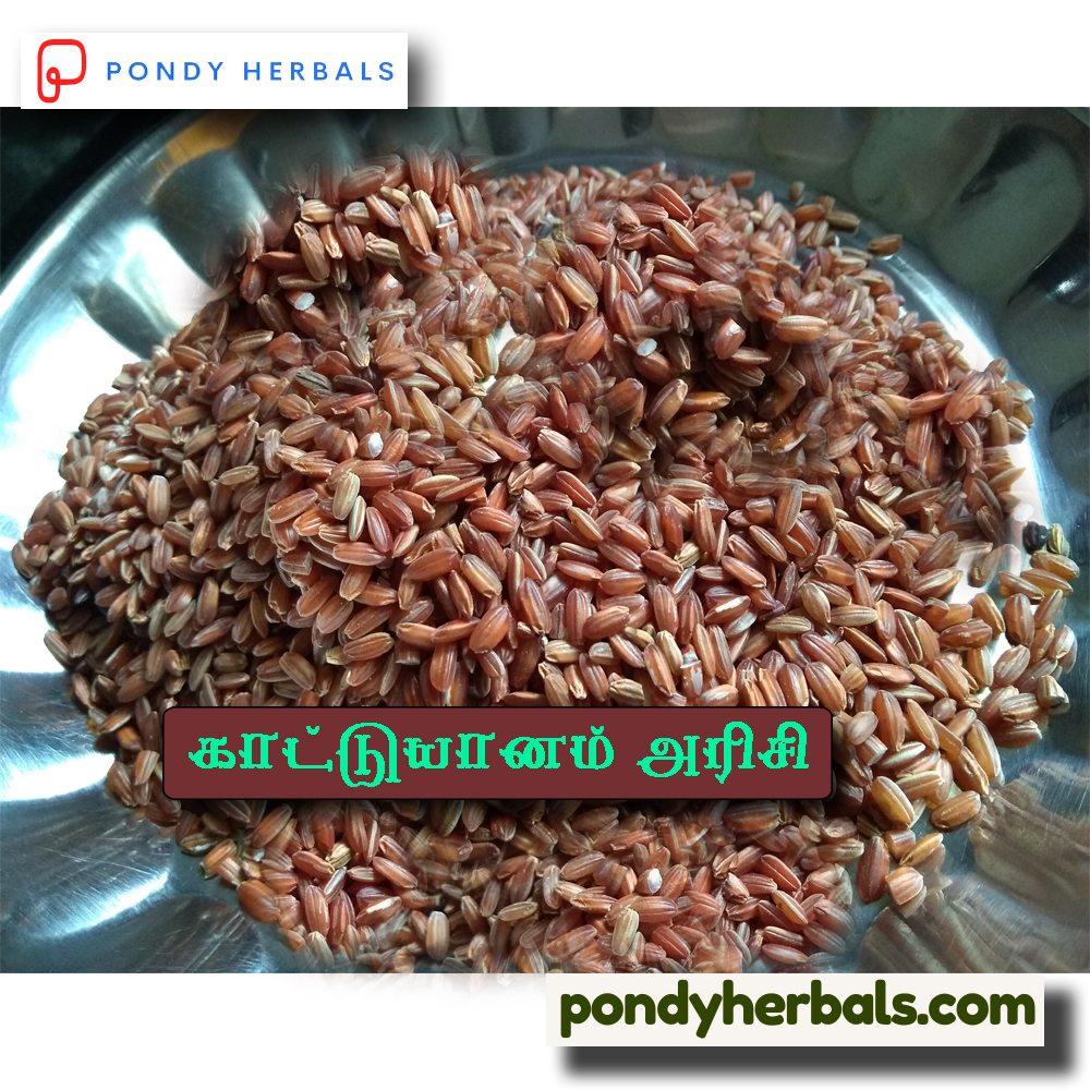 kaattu yaanam arisi 03