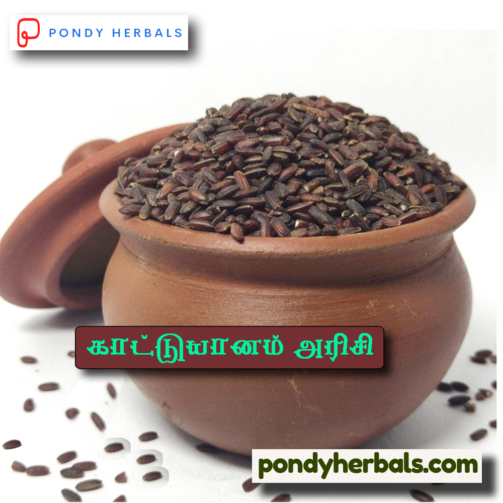 kaattu yaanam arisi 04