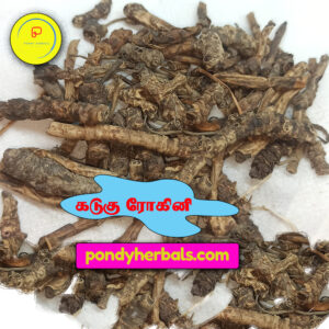 கடுகு ரோகிணி - Kadugu Rogini