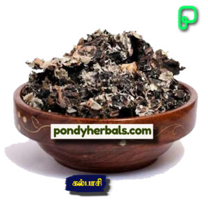 கல்பாசி - Kalpaasi