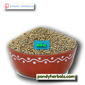 கம்பு - Kambu (Pearl Millet)