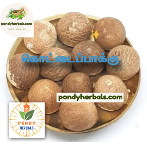 கொட்டைப் பாக்கு - Kottai Pakku