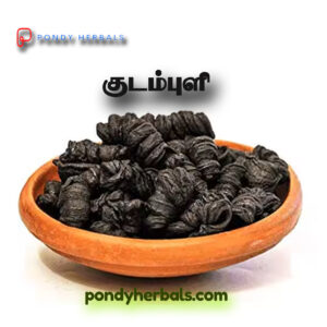 குடம்புளி - Kudam puli (Malabar Tamarind)