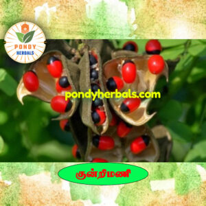 குன்றின்மணி - Kundrinmani