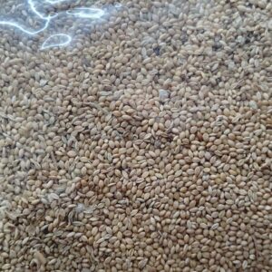 குருவி திணை - Kuruvi Thinai