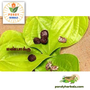 மண் (இலை) பாக்கு - Man (Ilai) Paakku