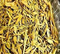 மர மஞ்சள் - Mara Manjal