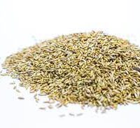 நாயுருவி விதை - Naayuruvi Vidhai