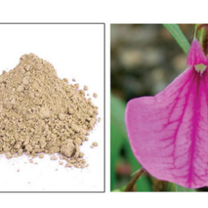 ஓரிதழ் தாமரை மாத்திரை - Orithazh thamarai Tablet