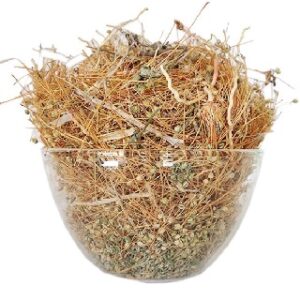 பற்படாகம் - Parpadagam