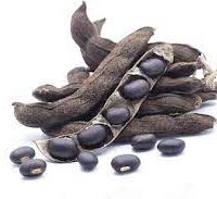 பூனைக்காலி விதை - Poonaikkali Vidhai