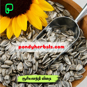 சூர்யகாந்தி விதை (பறவை) - Sun Flower Seeds (Birds)
