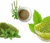 துளசி இலை பொடி - Thulasi Ilai Powder