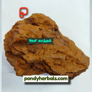 ஊசி காந்தம் - Oosi Kantham