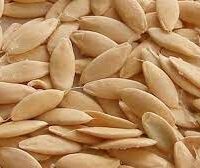 வெள்ளரி விதை - Cucumber Seed