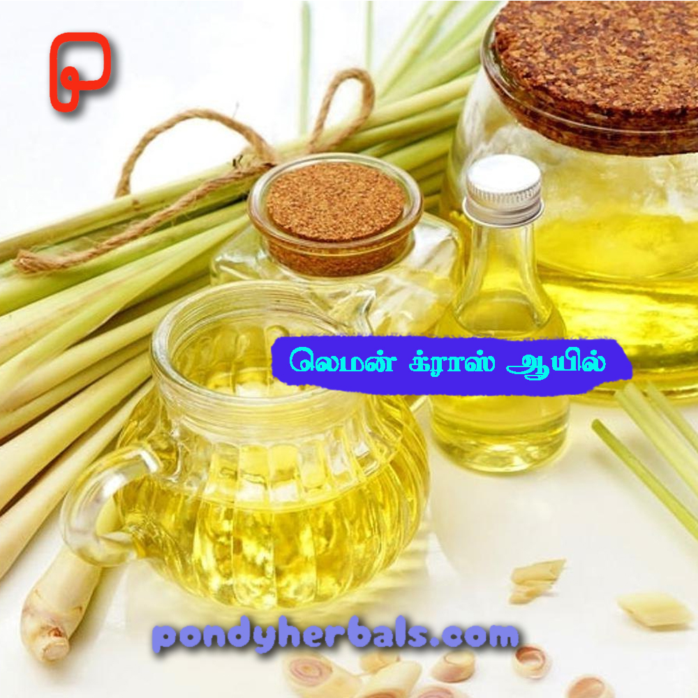 lemon grass oil 01