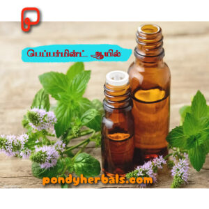 பெப்பர்மின்ட் ஆயில் - Peppermint oil
