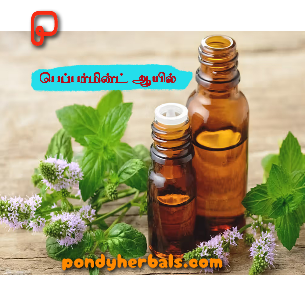 peppermint oil 01