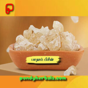 பாதாம் பிசின் - Badaam Pisin No 1