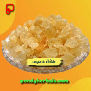 பாதாம் பிசின் - Badaam Pisin No 2