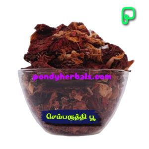 செம்பருத்தி பூ உலர்ந்தது - Hibiscus Flower Dried